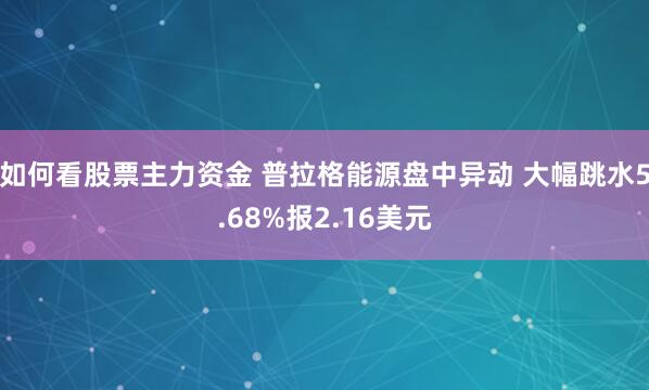 如何看股票主力资金 普拉格能源盘中异动 大幅跳水5.68%报2.16美元