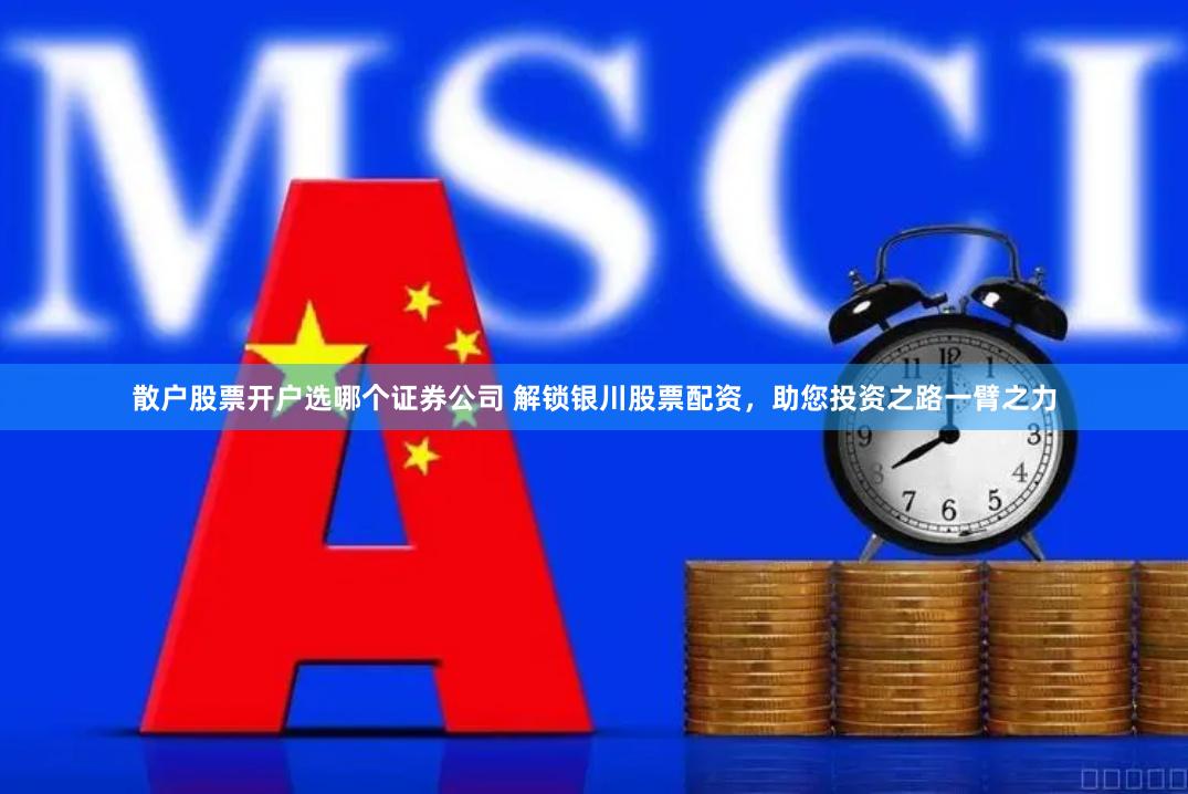 散户股票开户选哪个证券公司 解锁银川股票配资，助您投资之路一臂之力